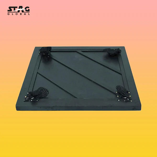 Stag Global Professional Black Carrom Board | with 9 Neon Orange & 9 Neon Green Carrom Coins, and a Striker (Without Wheel)